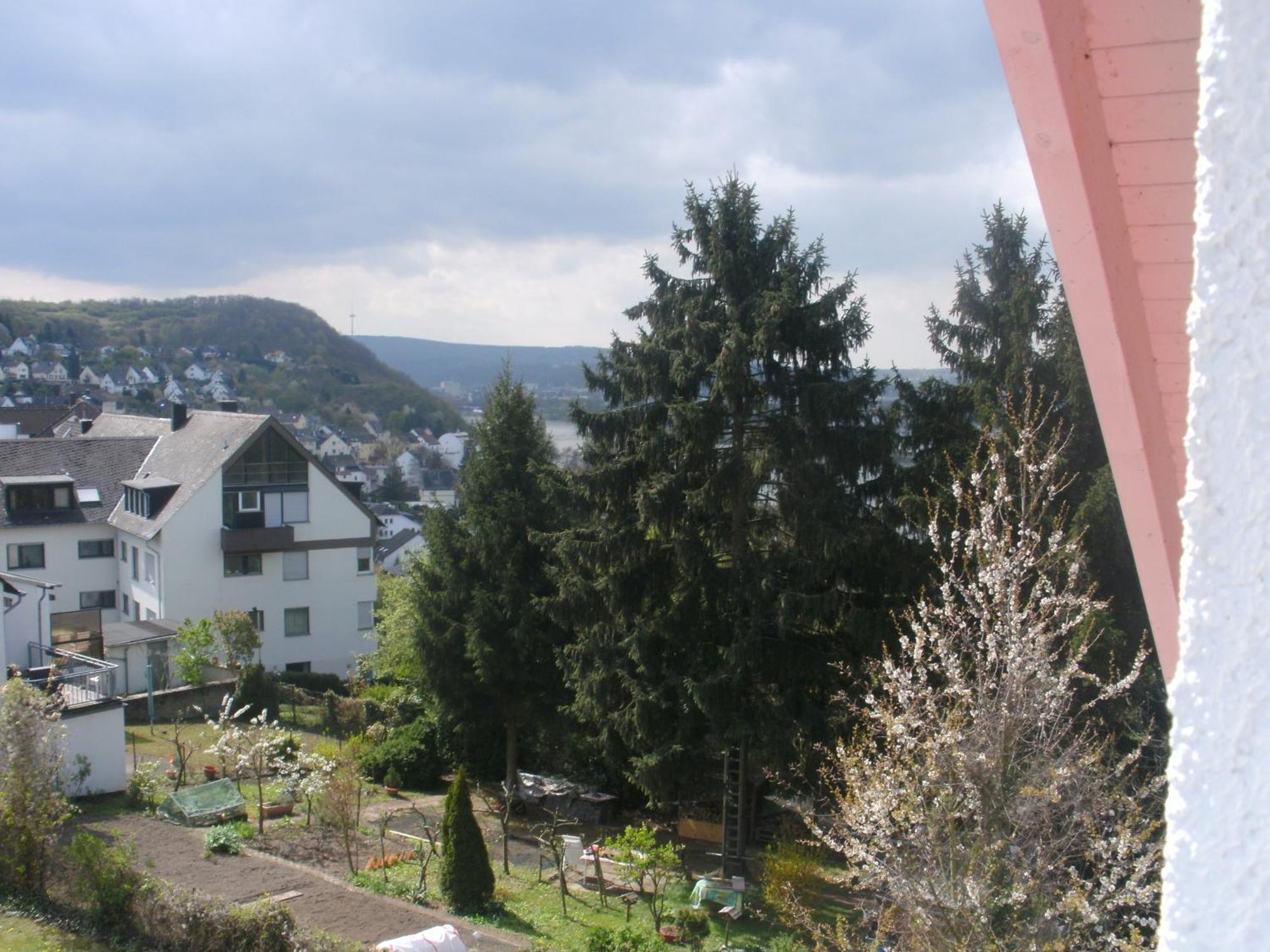 Hotel Rhein-Mosel-View Urbar  Εξωτερικό φωτογραφία