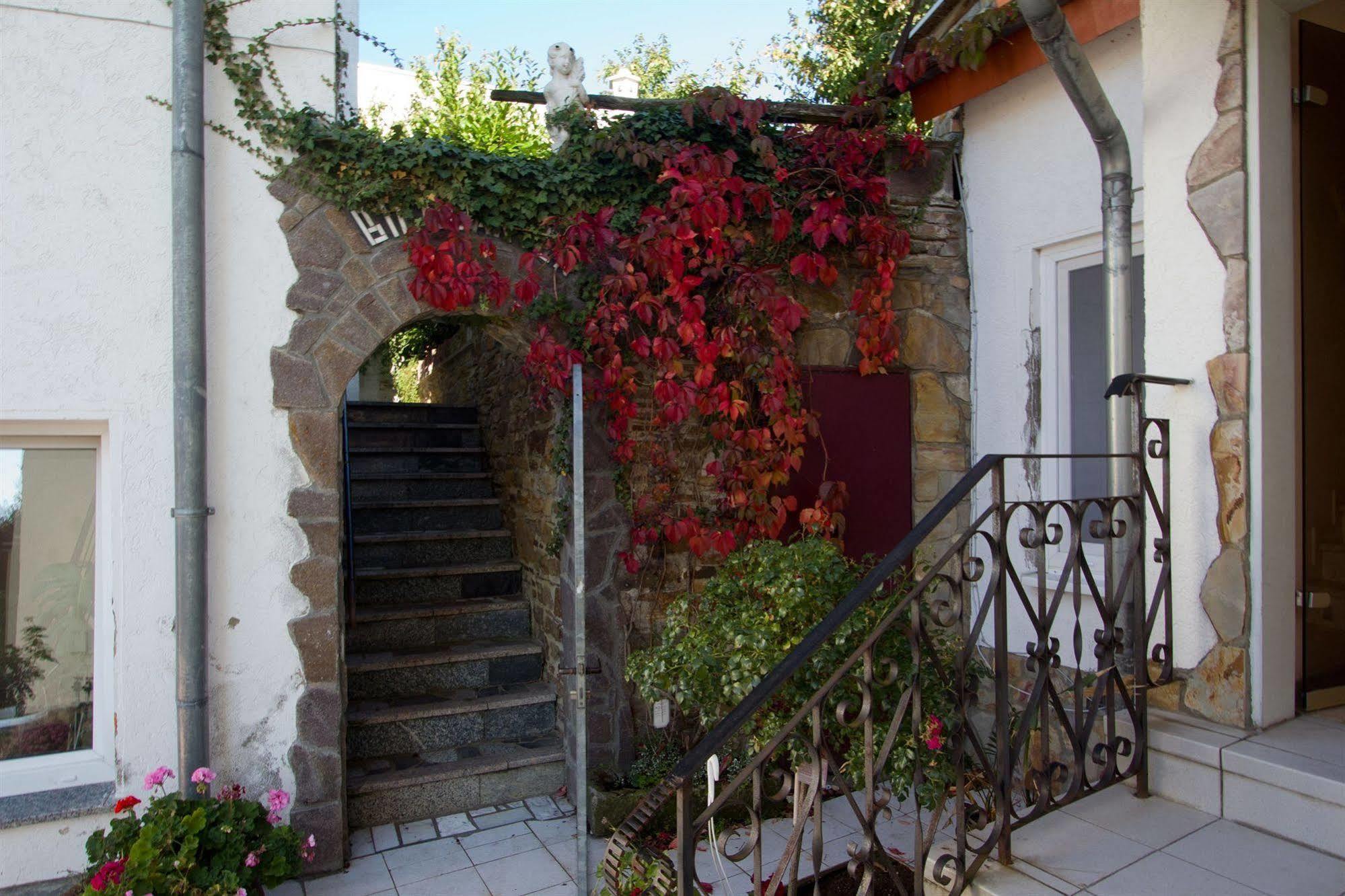 Hotel Rhein-Mosel-View Urbar  Εξωτερικό φωτογραφία